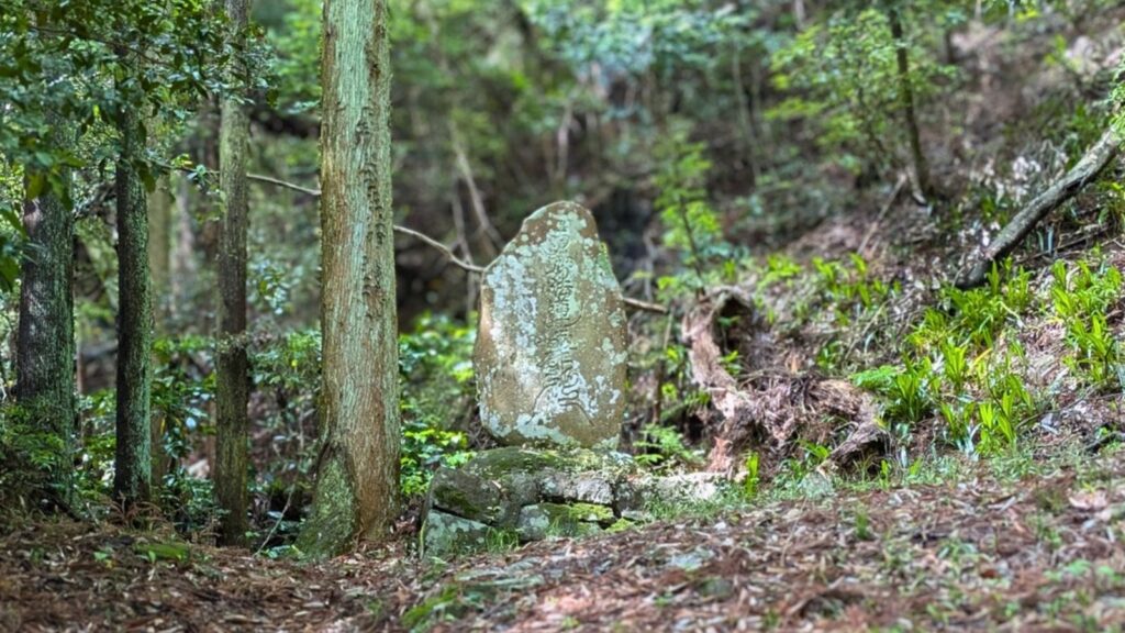 東海道歩き旅【13日目③】明治トンネルの幻想美と岡部宿・大旅籠柏屋を巡る歴史散歩!