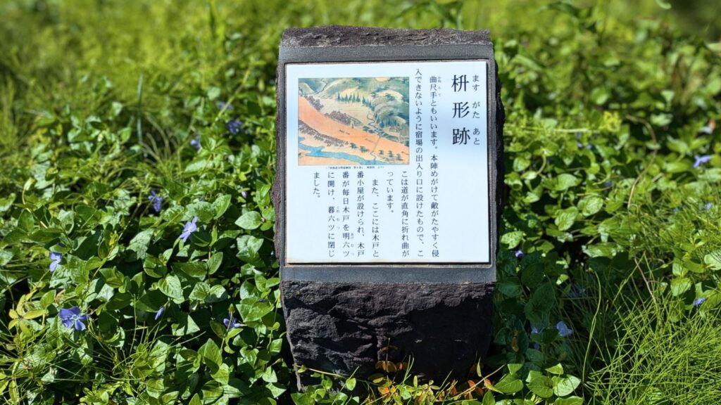 東海道歩き旅【13日目③】明治トンネルの幻想美と岡部宿・大旅籠柏屋を巡る歴史散歩!